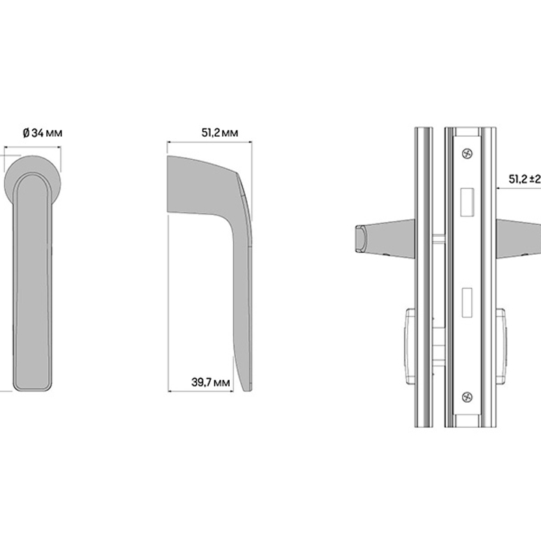 Ручка дверная безрозеточная двухсторонняя GAMMA лакированный с ППМ в Казани_Изображение_3